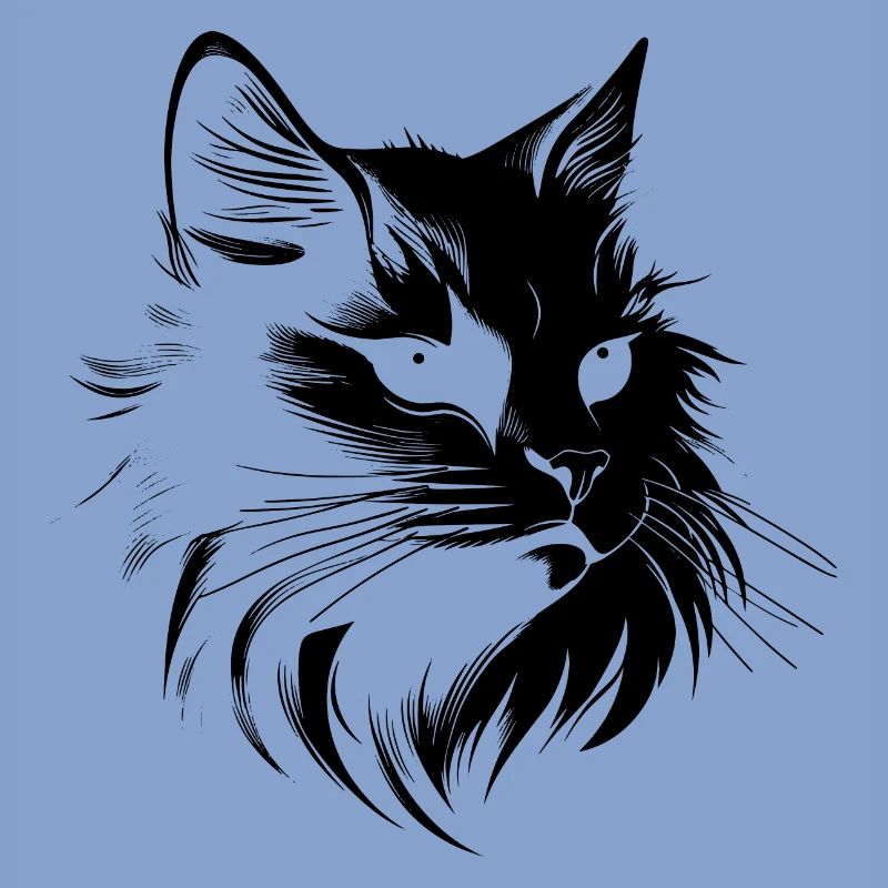 Chat, Motif De Chat, Visage De Chat