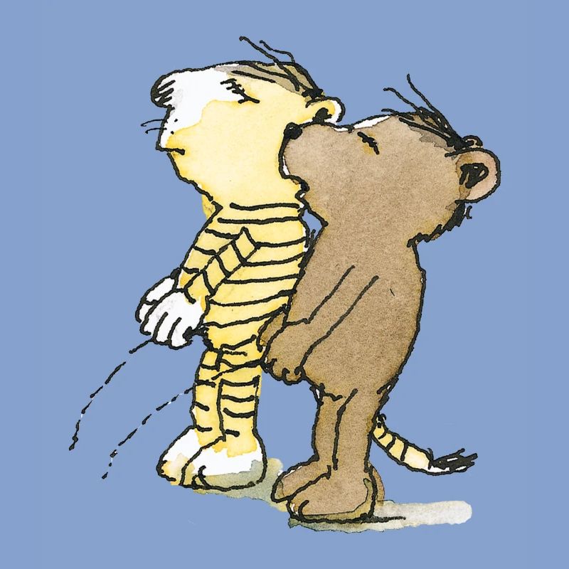 Janosch Tiger und Bär Pullern