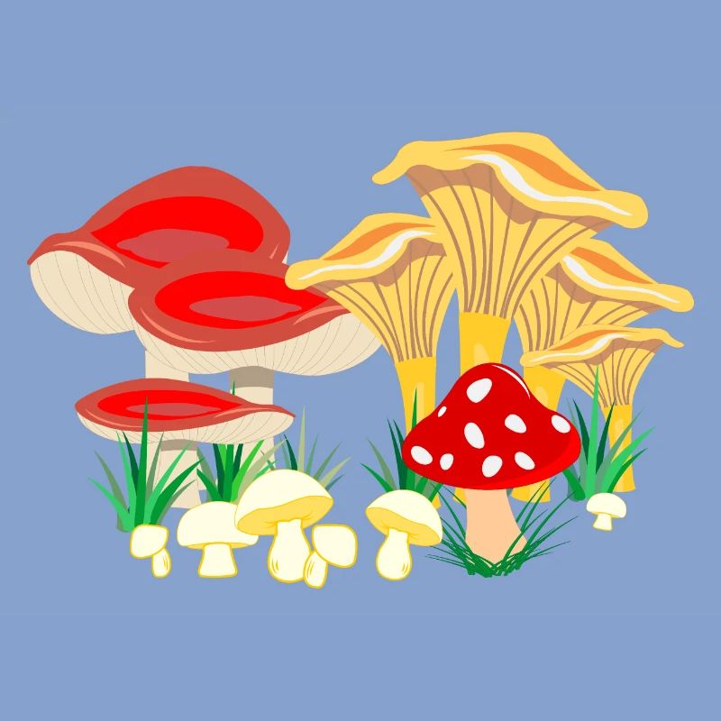 Composition colorée des champignons