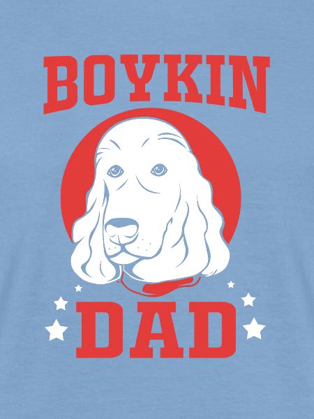 Boykin Spaniel