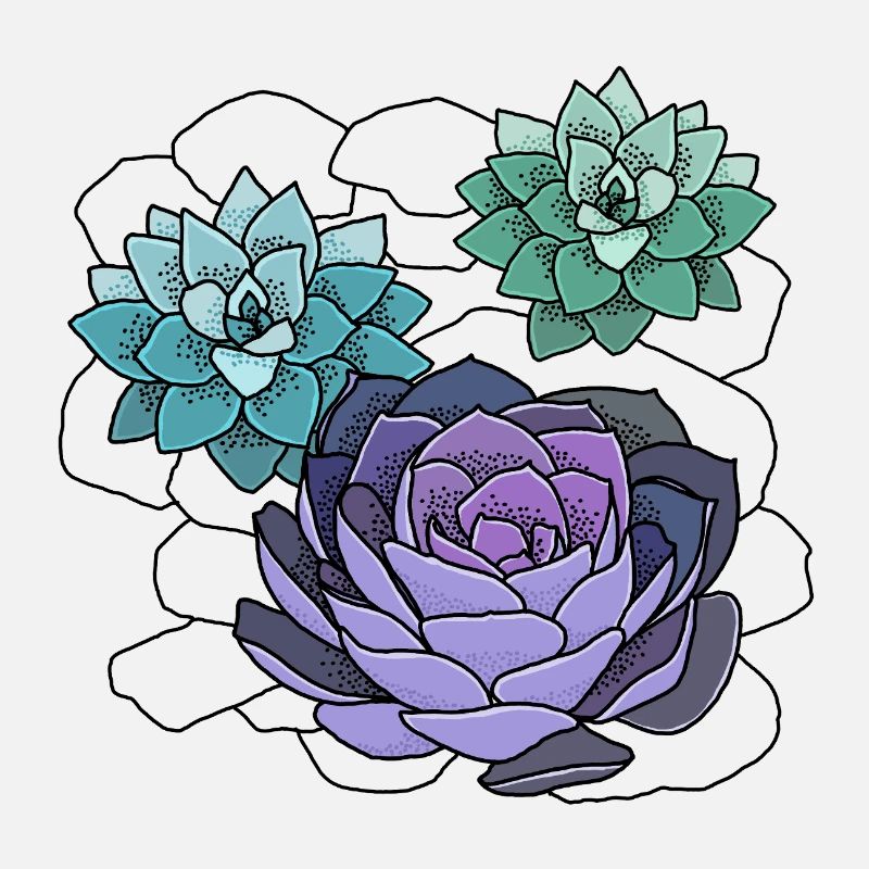 Succulentes