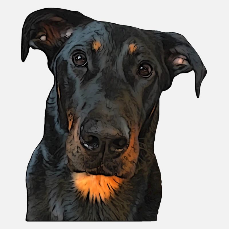 Regard du Beauceron