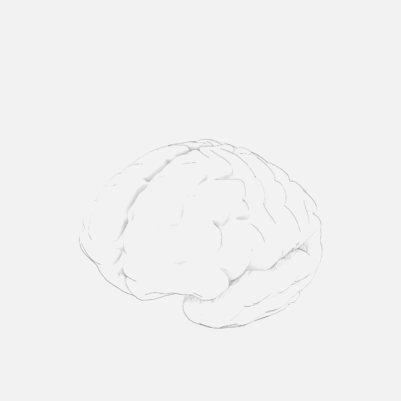 Brain wollte weiße Zeichnung