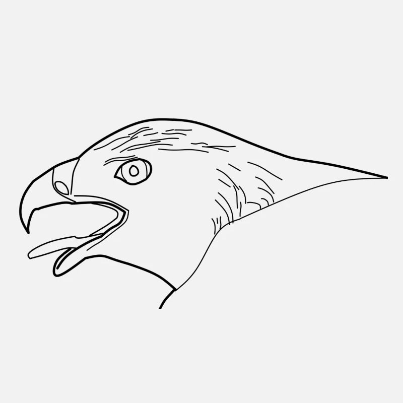 Eagle Spirit - The Invincible Eagle