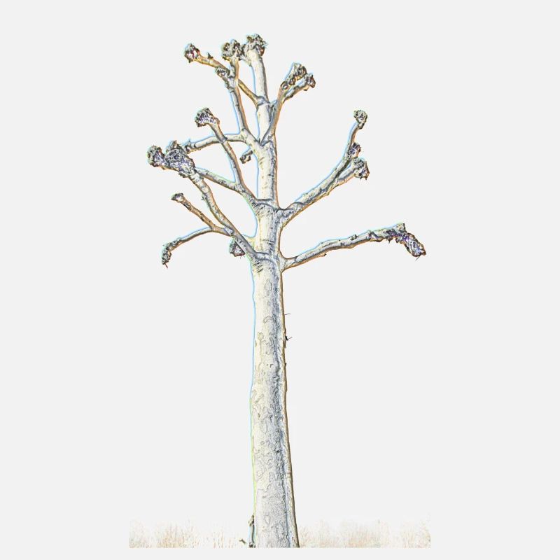 Tree without crown - line drawing brightly colored