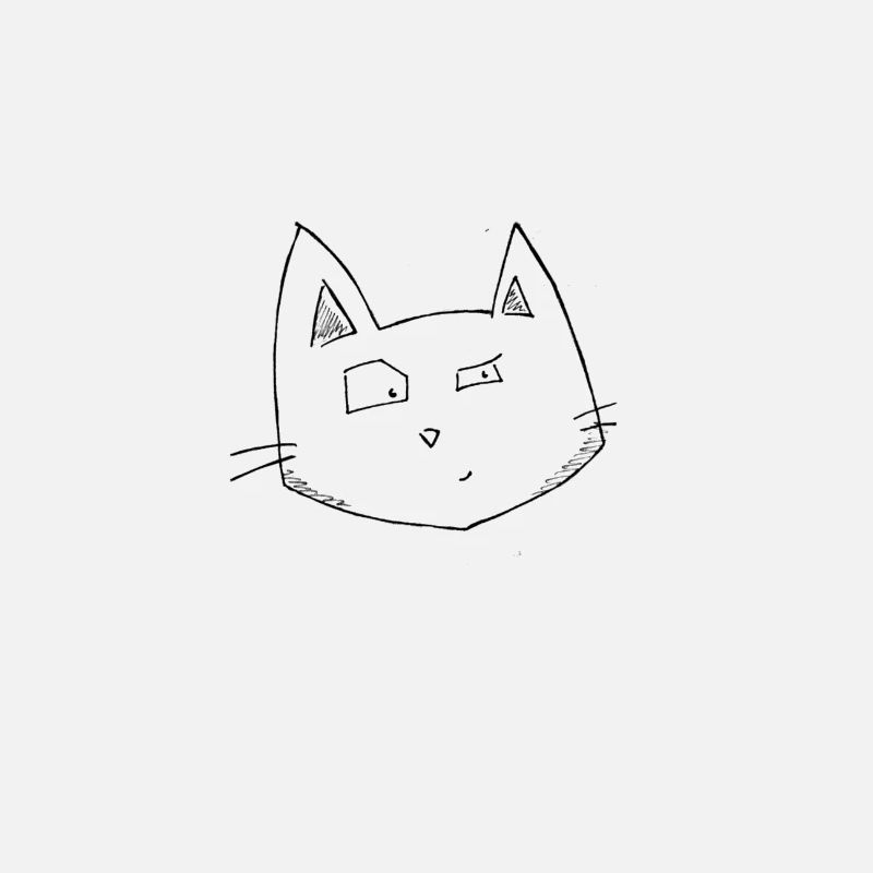 Schmidt's Cat Logo