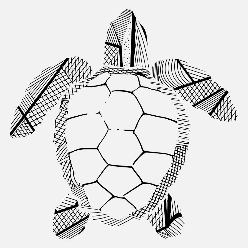 Black turtle
