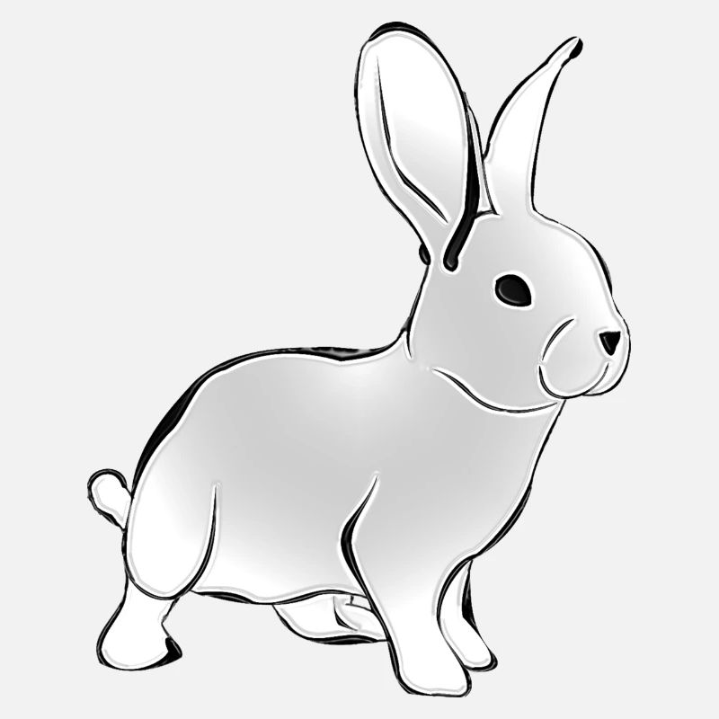 Rabbit Kaninchen