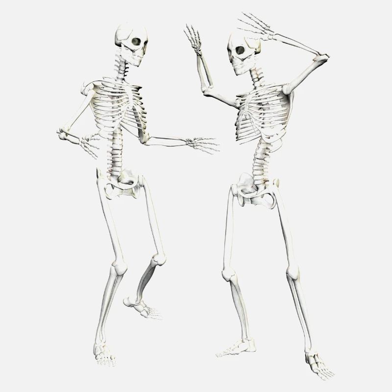 dance dd