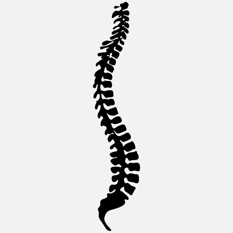 spinal column