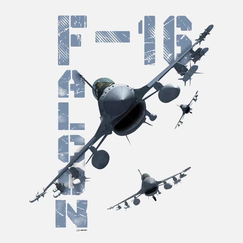 F16 FALCON - 2012