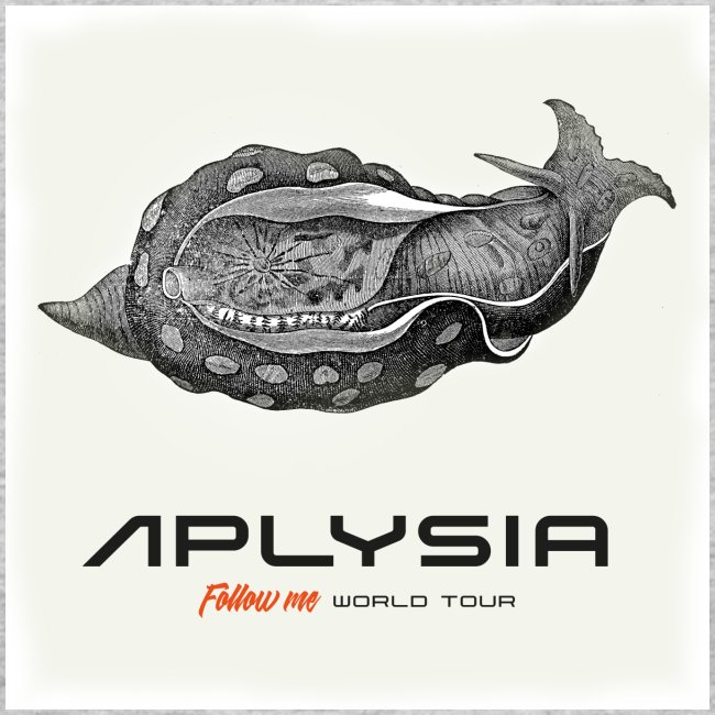 Aplysia Meeresschnecke Albumcover Follow me
