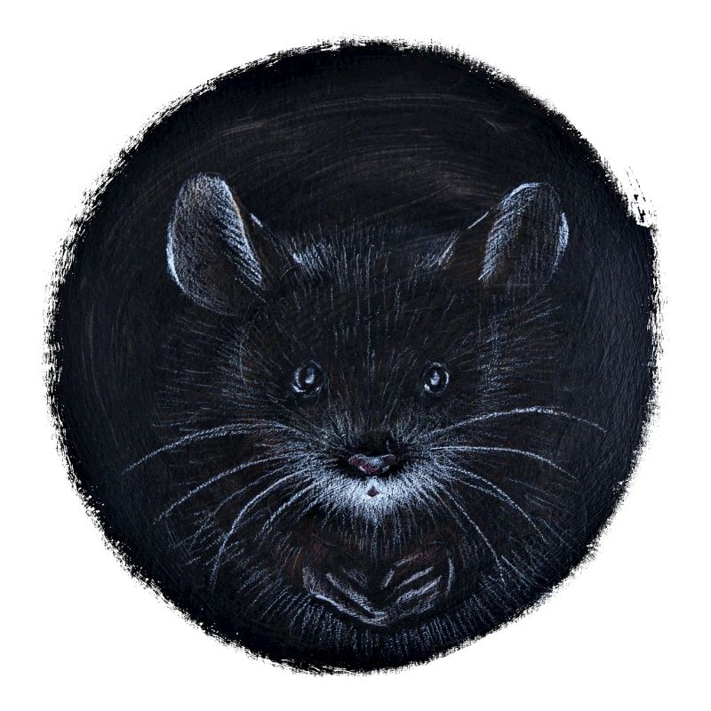 I see you - Maus