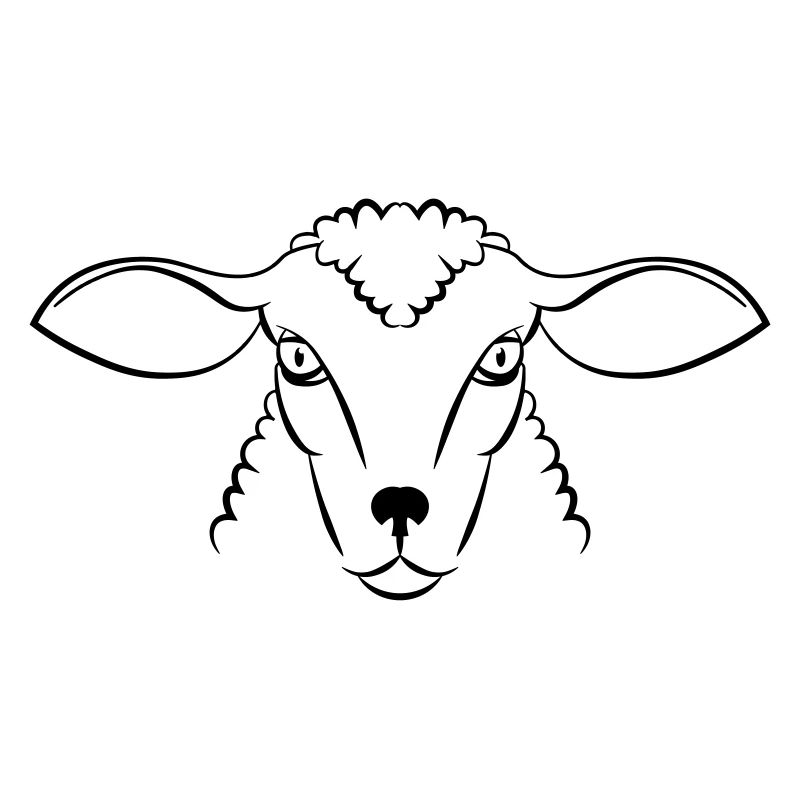 mouton