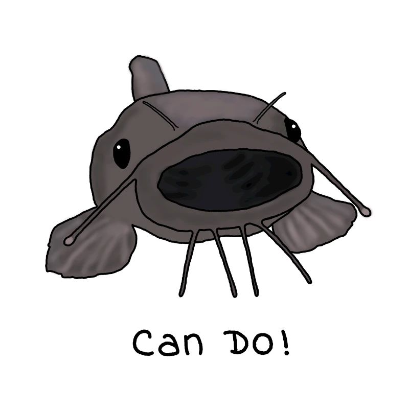 The Can Do Catfish