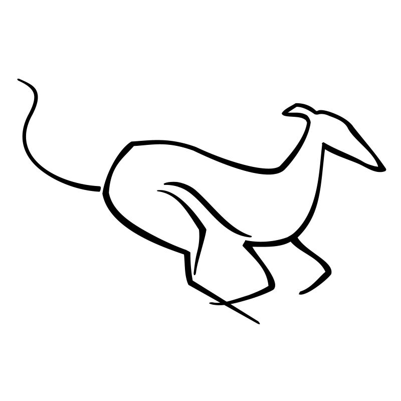 Galopp