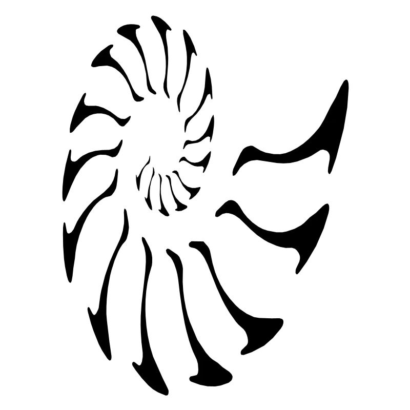 nautilus fibonacci