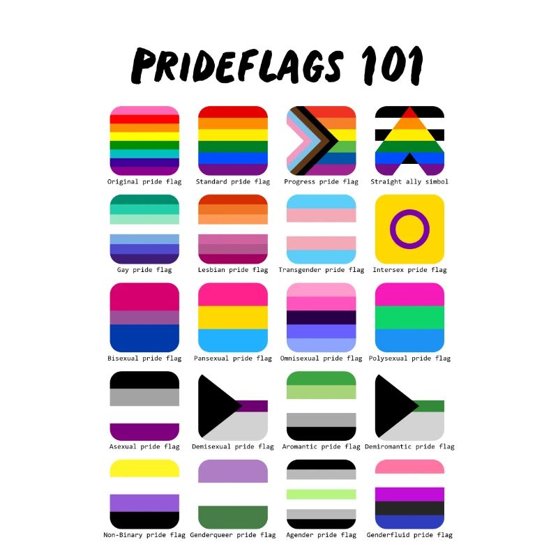 Pride Flags 101