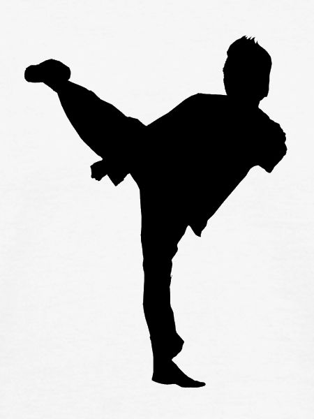 Bruce Lee Shadow Sidekick