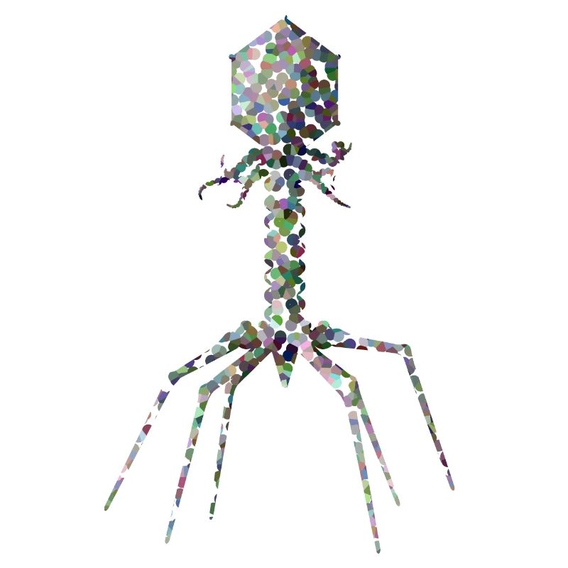 Bactériophage