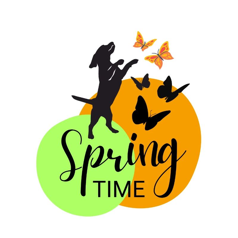 Frühlingsdesign - Spring time Hund + Schmetterling