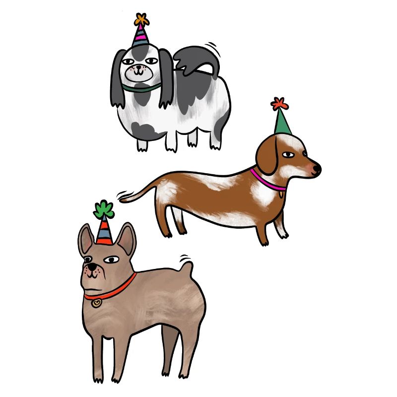 Hunde Geburtstag!