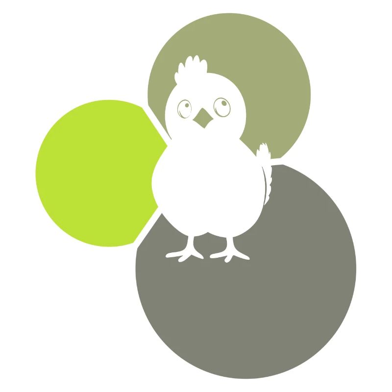 Chicken, poultry, chicks