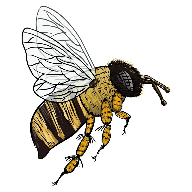 bee