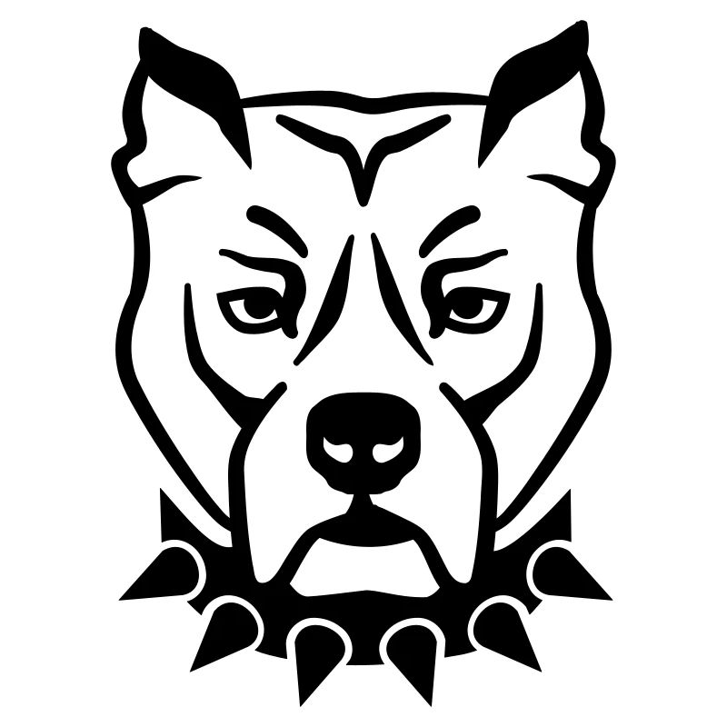 Pitbull