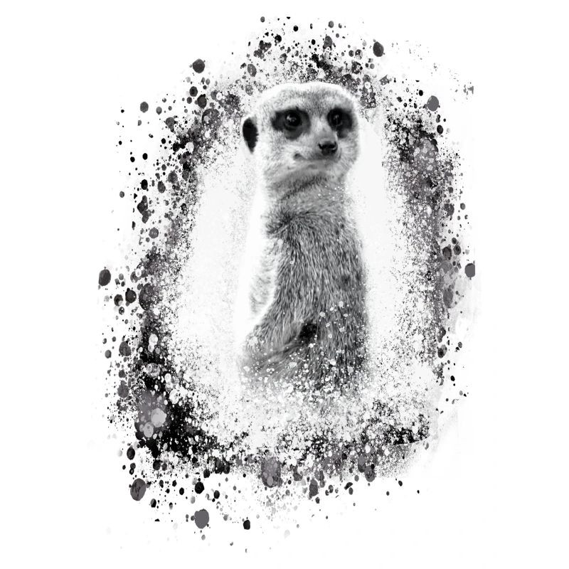 erdmännchen, grau, graffiti,malerei, illustration