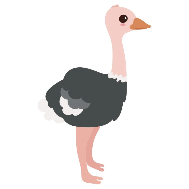 ostrich