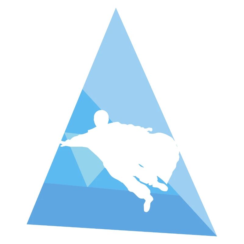 Wingsuit Combinaison de vol
