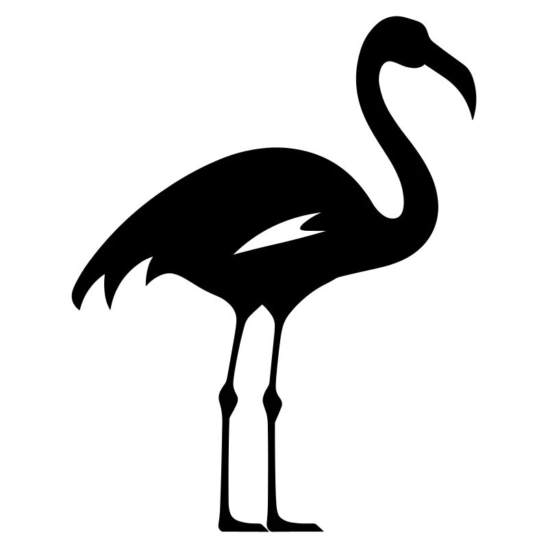 flamant rose