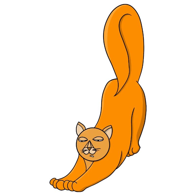 Stretching Orange Cat