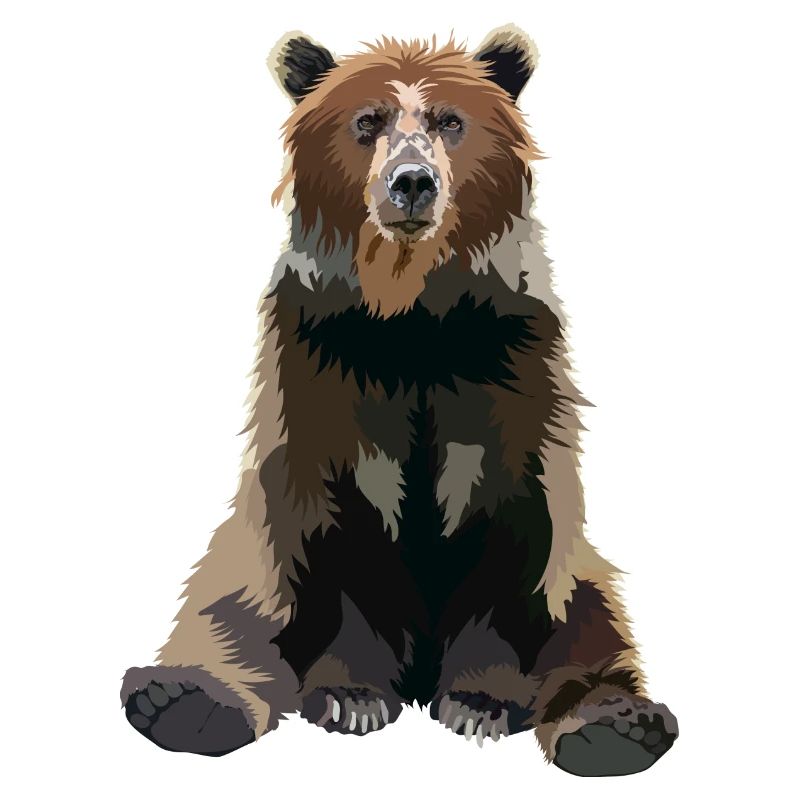Ours brun