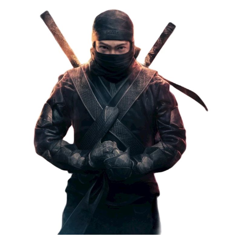 Ninja with swords