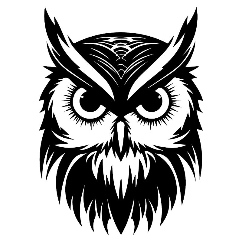 Eule Eulen Vogel Vögel