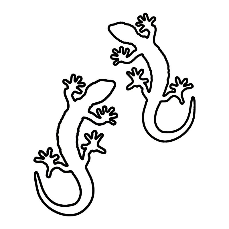 gecko zwei
