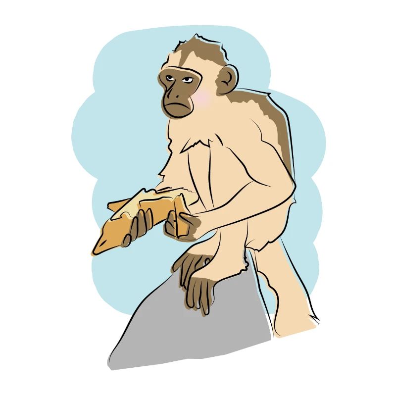 Design illustré avec singe