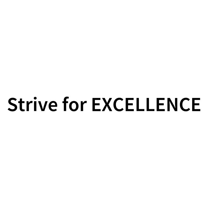 Strive For Excellence