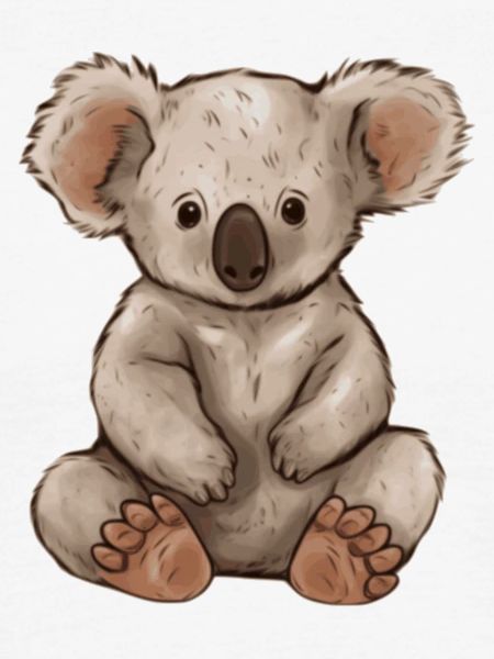 Koala Koalabär Geschenkidee