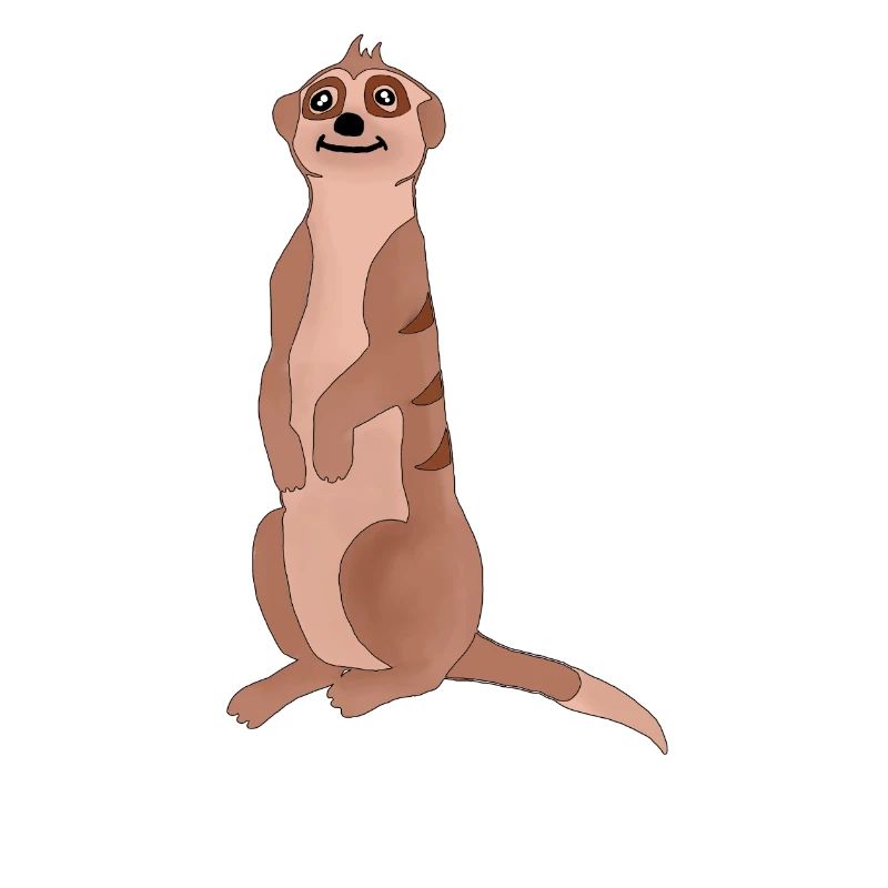Erdmännchen