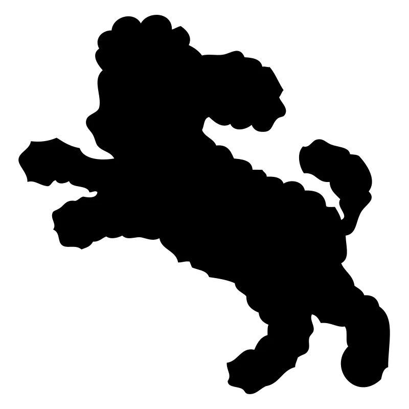 Schwarzer Pudel Schatten Shadow