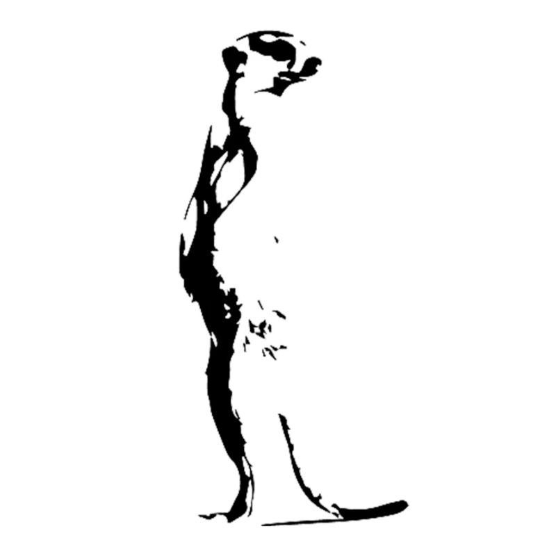 Erdmännchen