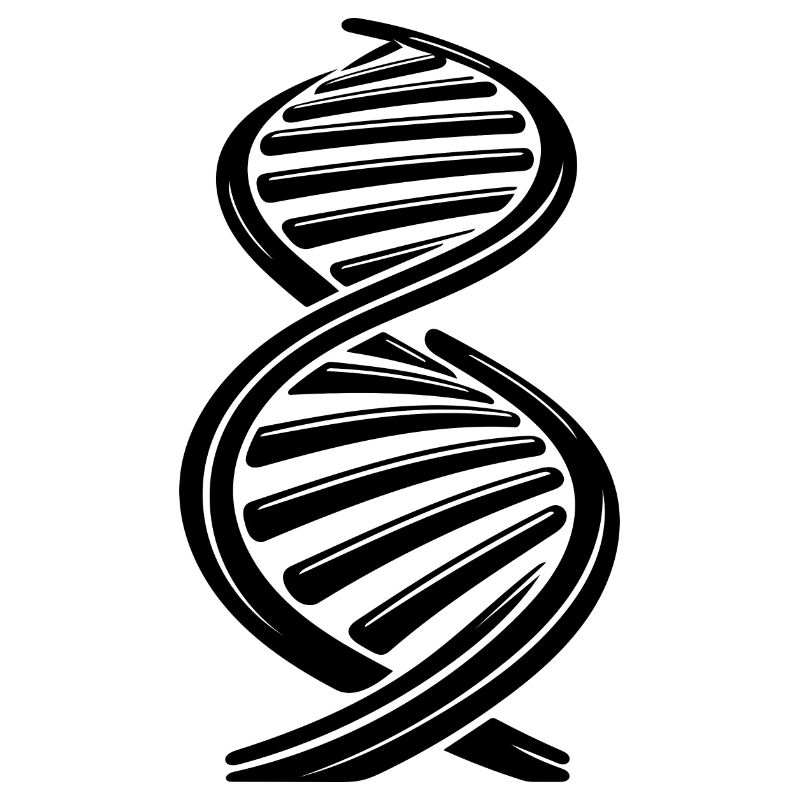 DNA strand nucleotide chain two single strands