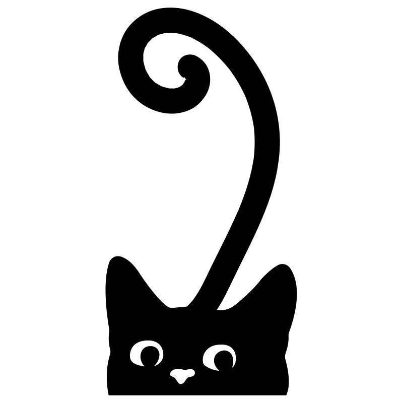 Curious Cat