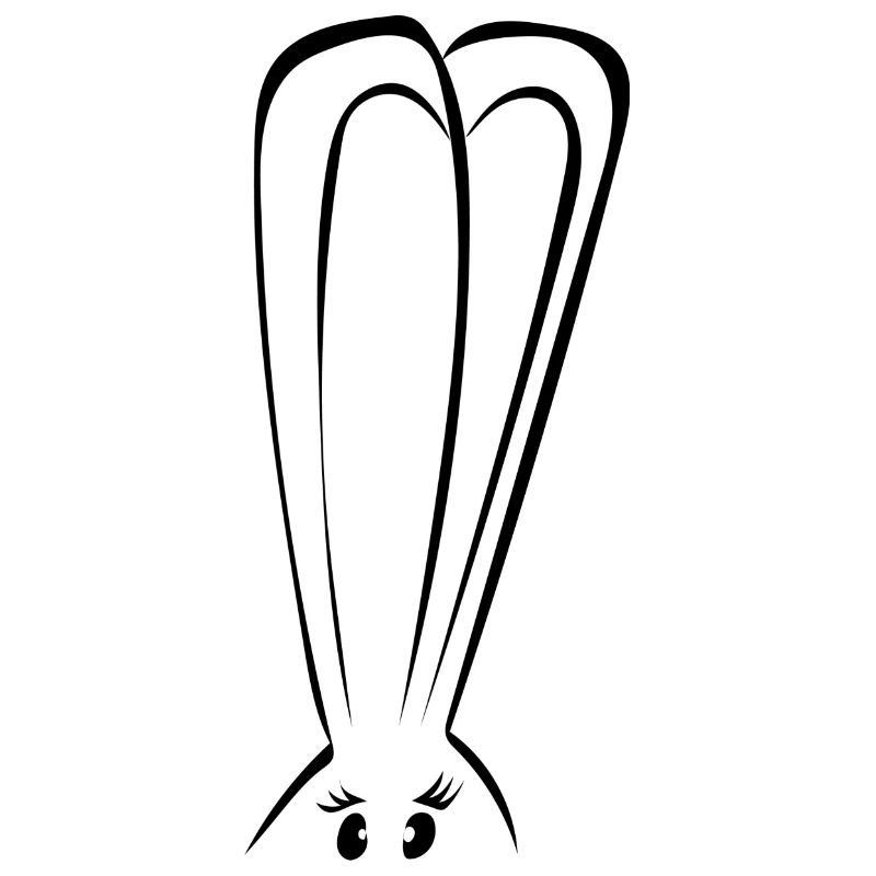 Hase