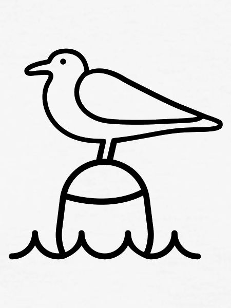 Möwe Moin