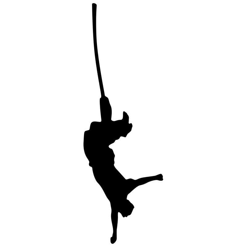 saut de bungee