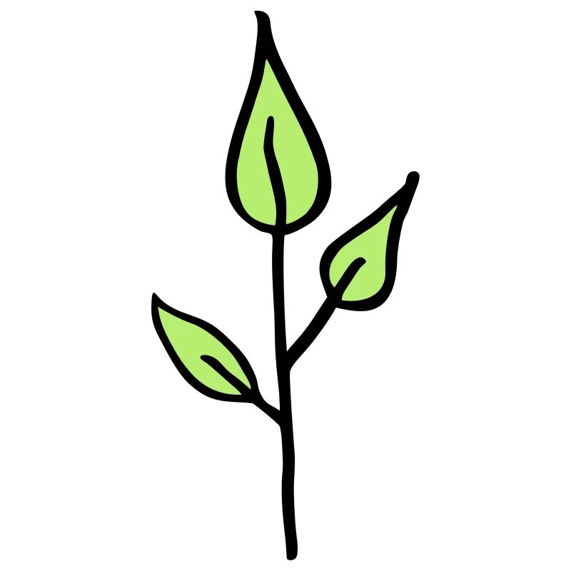 Natur, Pflänzchen